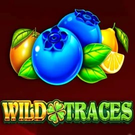 Play Wild Traces slot by Amusnet Interactive on flagmancasinoo.com